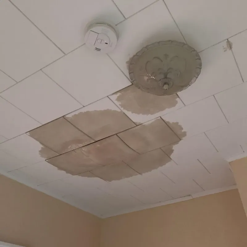 Ceiling Water Damage Repair in Melcher-Dallas, IA