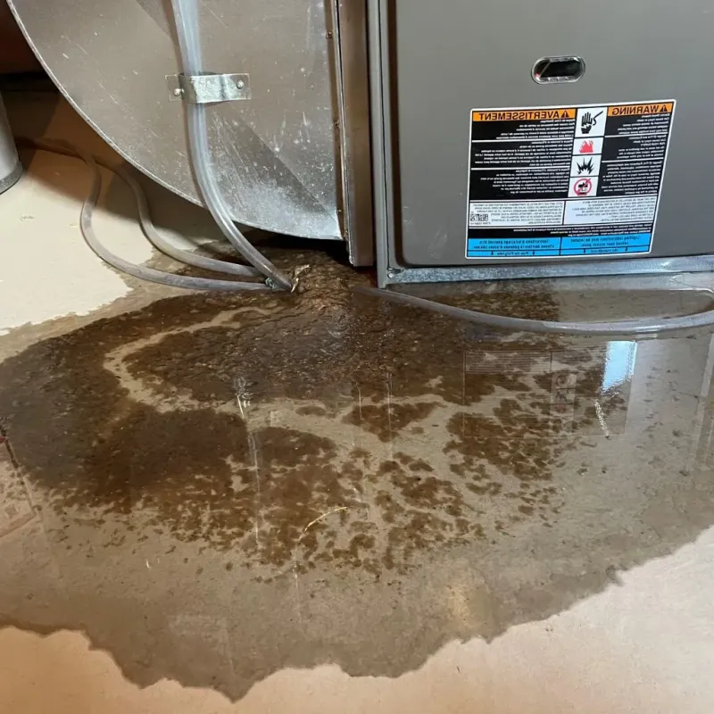 Pipe Burst and Leak Restoration in Melcher-Dallas, IA