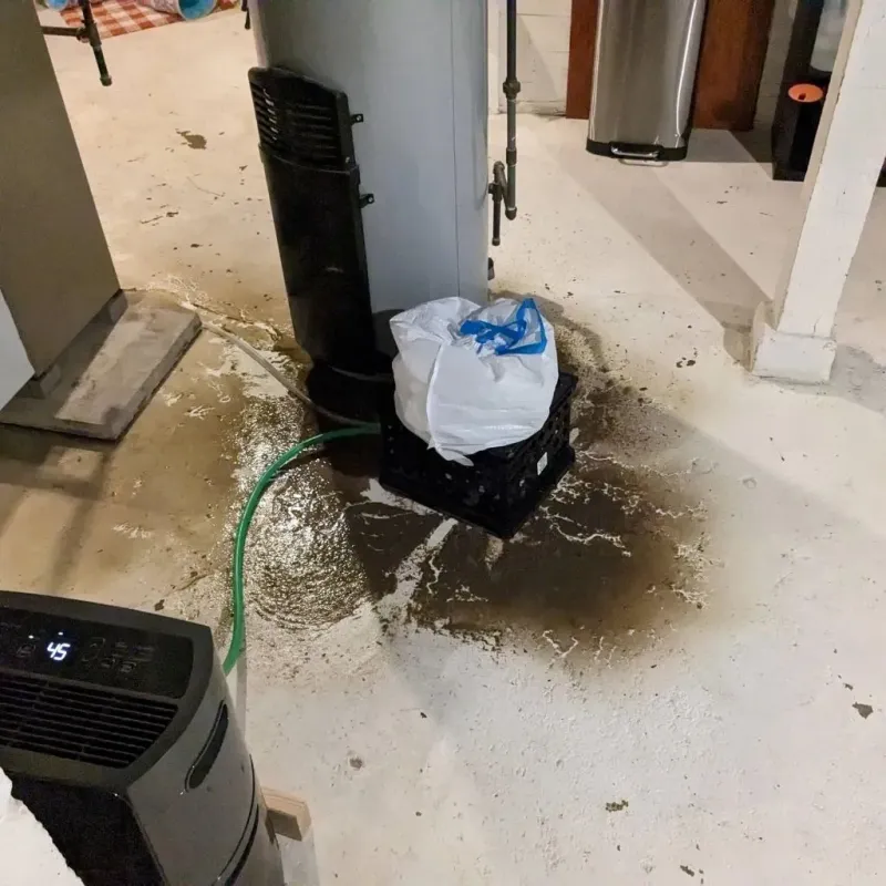 Sewage Backup Cleanup Service in Melcher-Dallas, IA